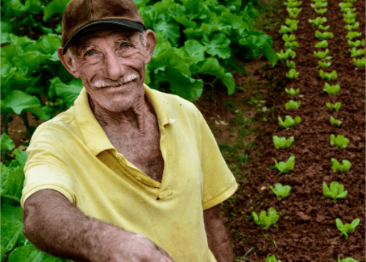 An elderly man smiling at the camera with one hand holding an ax. Behind him, there are several plantations.