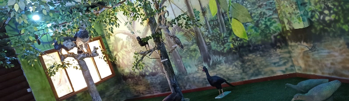 In a room with the walls lined with illustrations of tree, there are some artificial trees and bird sculptures, on the trees and on the ground.