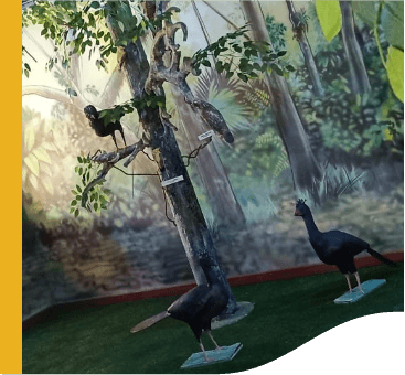 In a room with the walls lined with illustrations of tree, there are some artificial trees and bird sculptures, on the trees and on the ground.