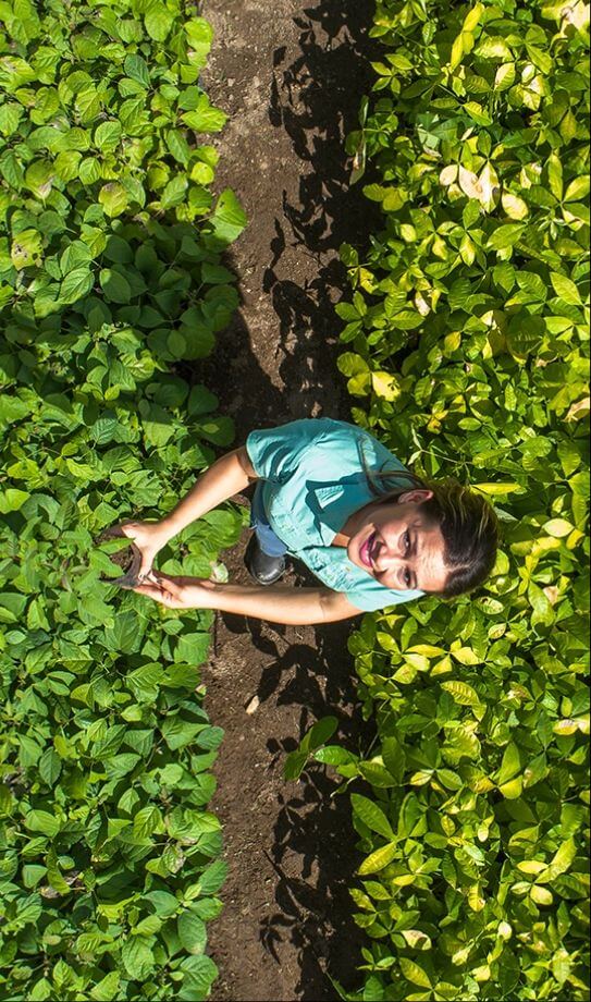 Foto tirada de cima para baixo de uma mulher sorrindo em meio a um espaço de plantação. Ela está usando camisa verde clara.