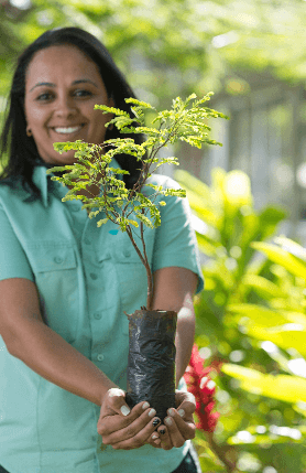 A Vale employee holds a tree seedling with both hands and smiles for a photo.