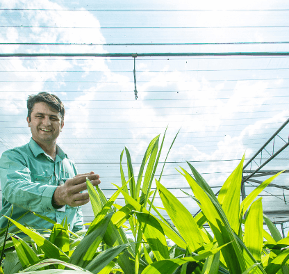 Empregado Vale dentro de uma estufa com diversas plantas. Ele está de uniforme verde e sorri.