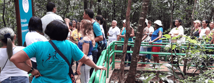 Diversas pessoas fazem uma trilha. O local é protegido por um corrimão e tem diversas árvores ao redor.