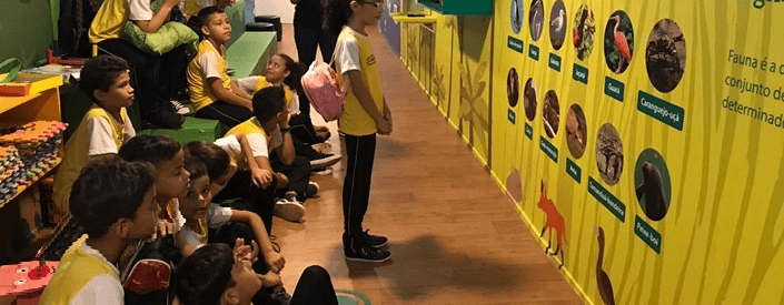 Several children look at a panel with information about birds. All wear school uniforms.