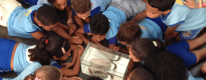 Photo of several children around an aquarium, watching the animal in there.