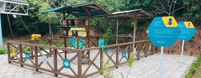 Several bee houses protected by a wooden roof. The space is surrounded by wood, and in the background, there are several trees.