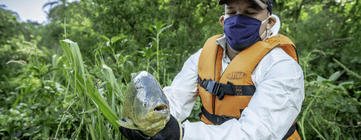 Em uma área de vegetação, um homem de boné, máscara facial, colete e luvas, segura um peixe.