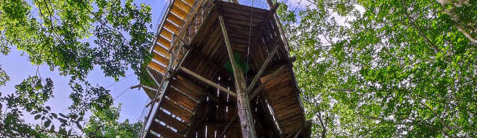 Torre de observação, vista de baixo para cima. A estrutura é alta e feita de madeira.