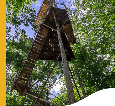 Observation tower, view from down upwards. The structure is tall and made of wood.