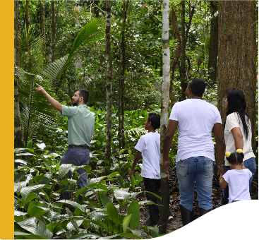 Um empregado está acompanhado de outras pessoas por uma trilha em um local bastante arborizado.