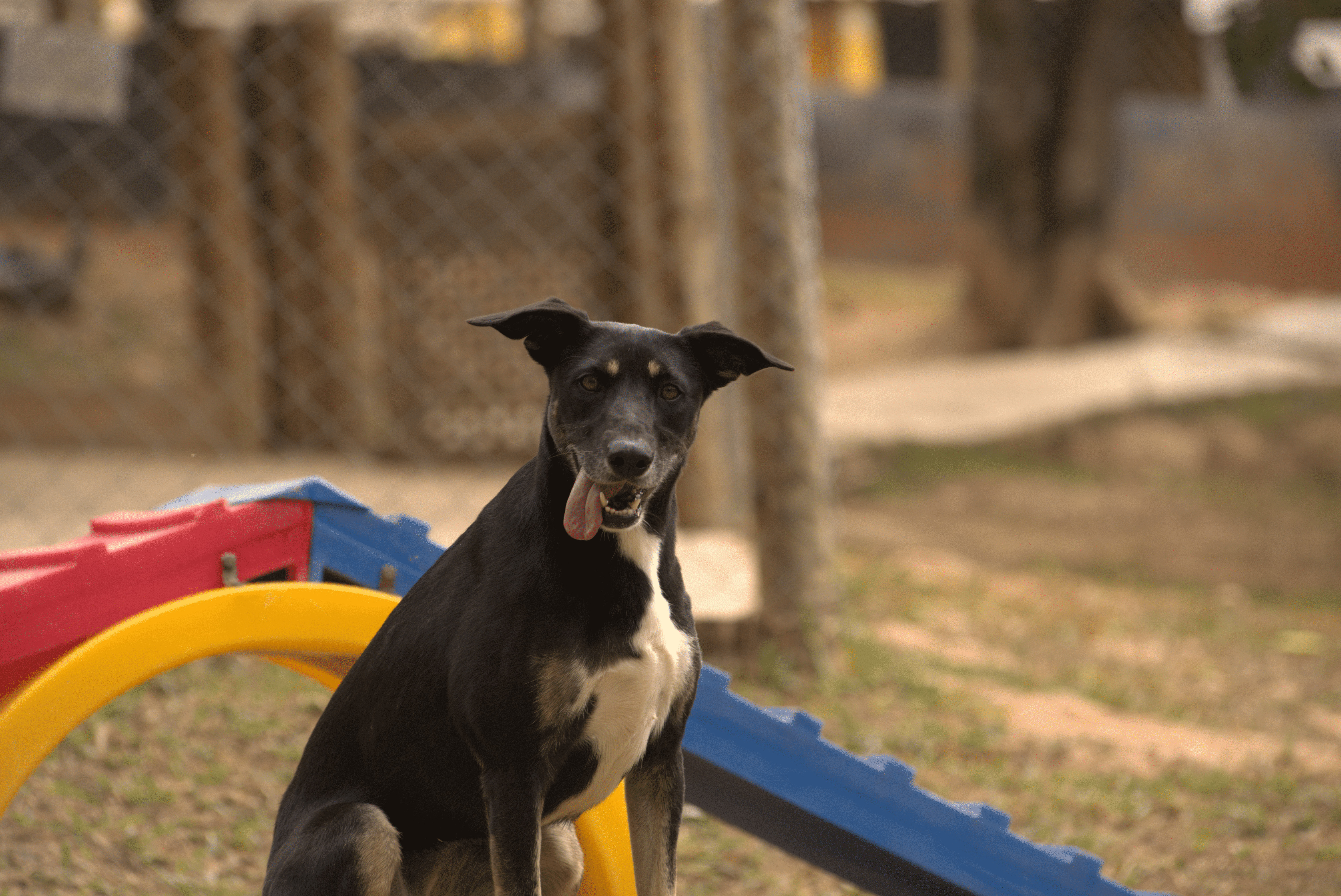 Lupita