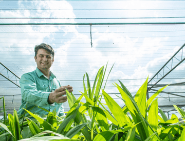 Empregado Vale dentro de uma estufa com diversas plantas. Ele está de uniforme verde e sorri.