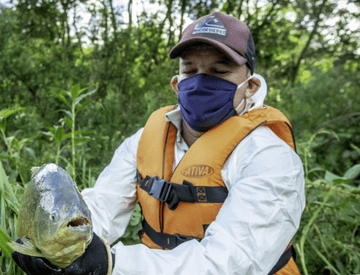 Em uma área de vegetação, um homem de boné, máscara facial, colete e luvas, segura um peixe..