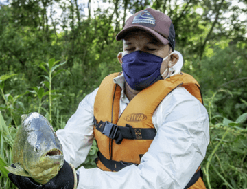 In a vegetation area, a man wearing a cap, a face mask, a vest and gloves is holding a fish.