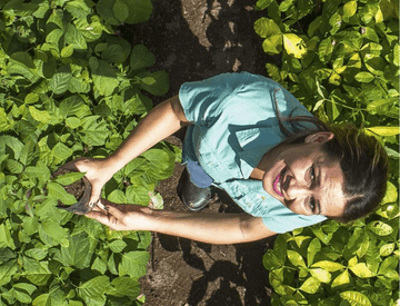 Aerial image of a Vale employee in the middle of a plantation. The ground is dirt and she looks up and smiles, while holding a seedling.