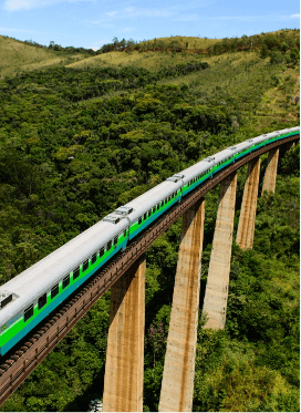 Vale train runs an elevated railroad in the middle of vegetation.