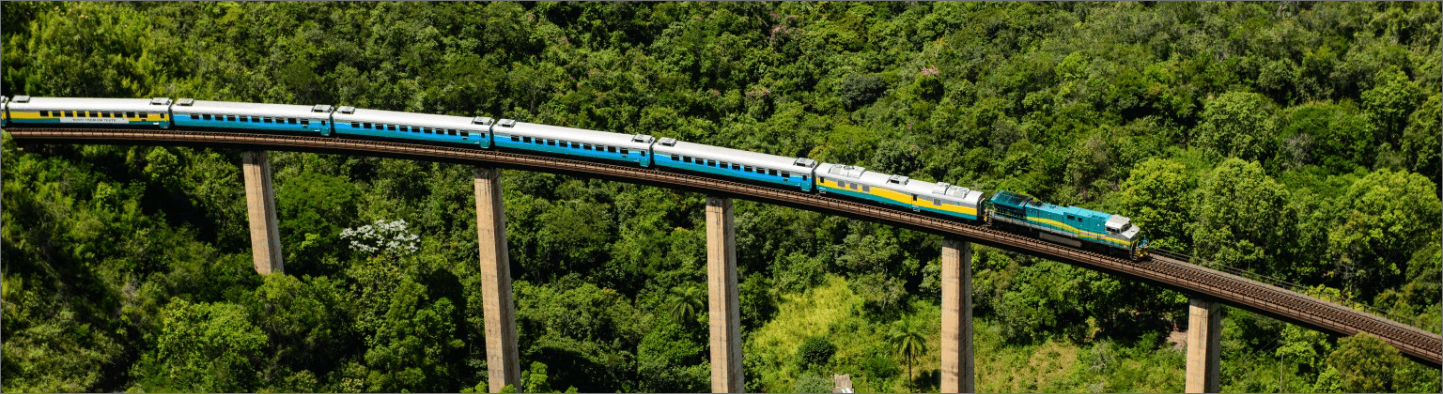 Trem Vale seguindo por uma ferrovia elevada. Em volta é possível ver uma paisagem montanhosa e repleta de vegetação.