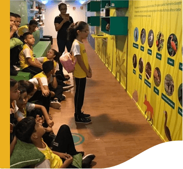 Several children look at a panel with information about birds. All wear school uniforms.